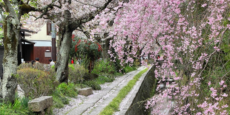 promenade philosophe kyoto