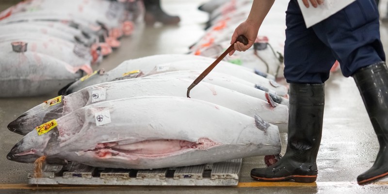 Gros poissons marche Tsukiji
