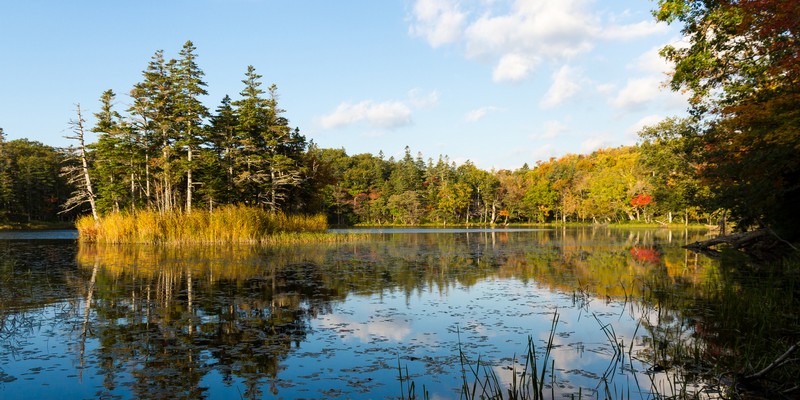 Parc national de Shiretoko, Hokkaido