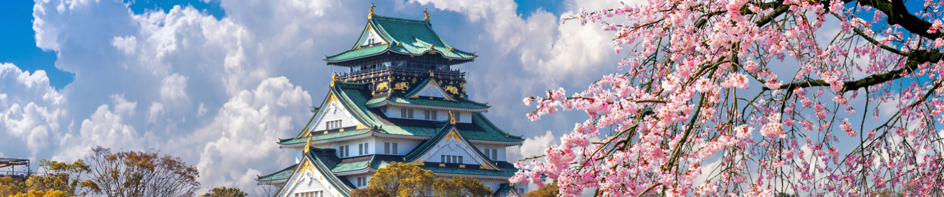 Sakura et château d'Osaka