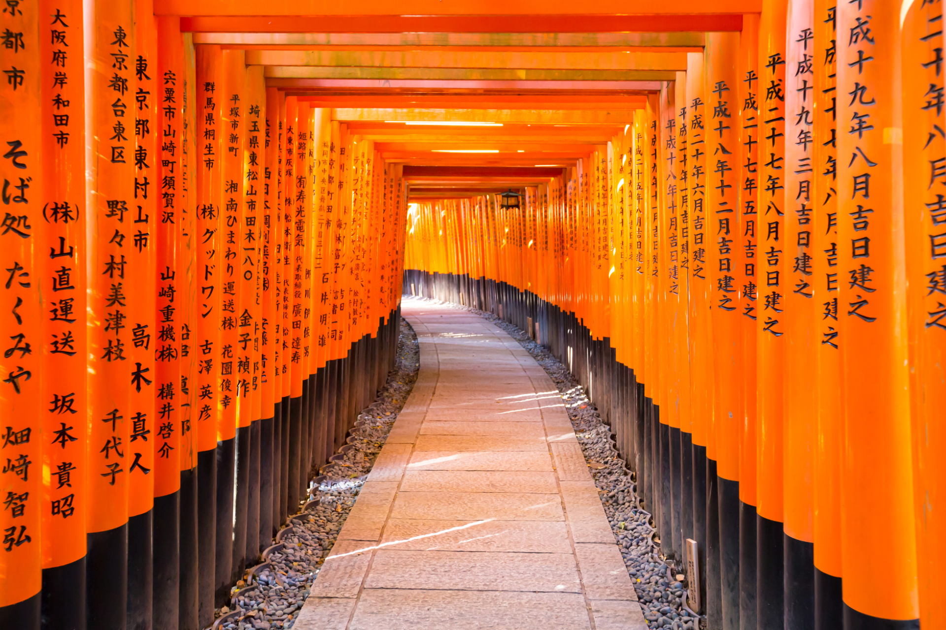 Fushimi Inari Shrine. Tori, Kyoto, Japon