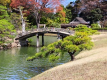 Jardin de Koishikawa Korakuen