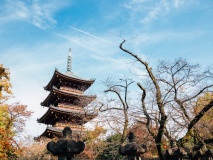 Pagode Kanei-ji, parc Ueno