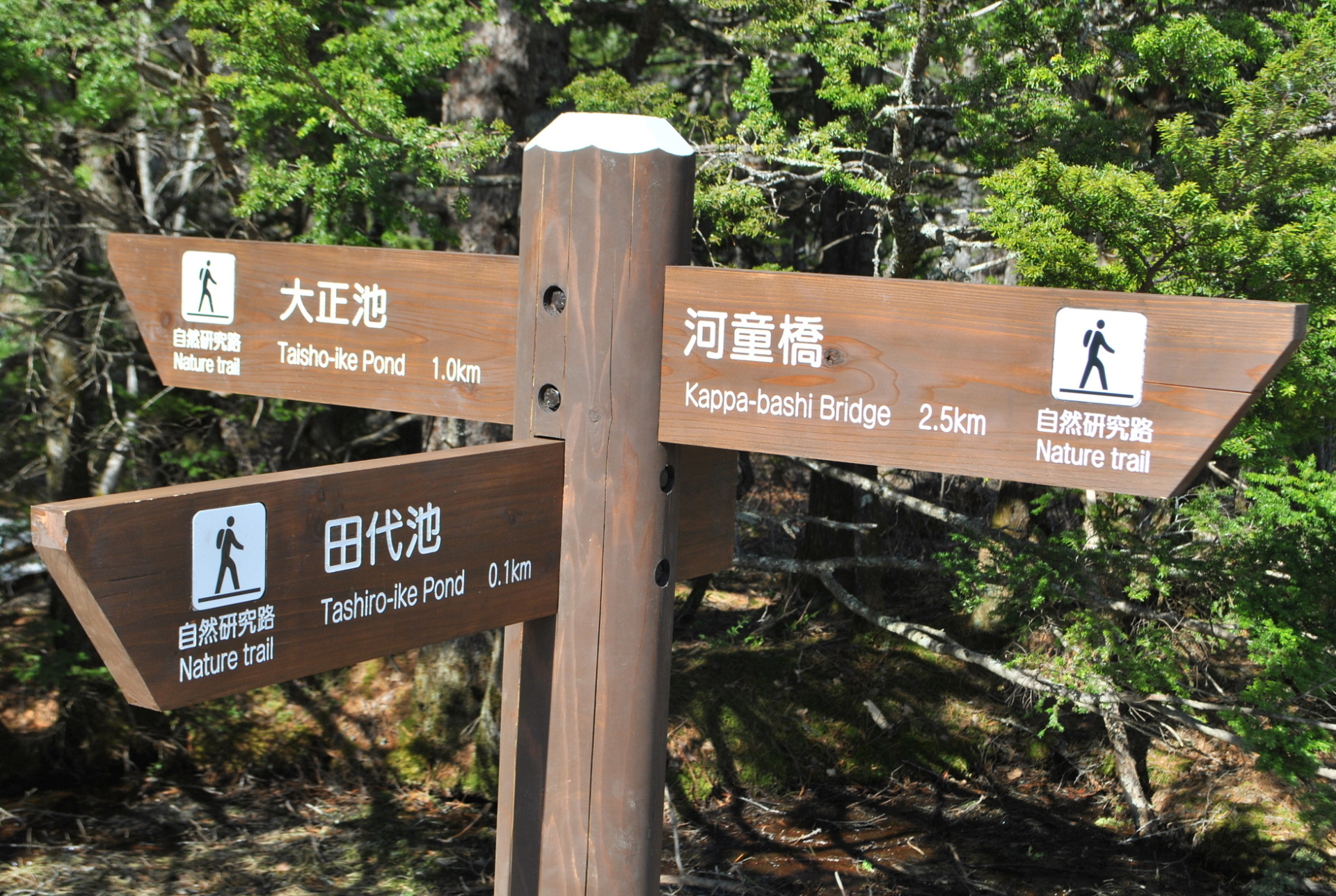 Parc de Kamikochi, Préfecture de Nagano, Japon