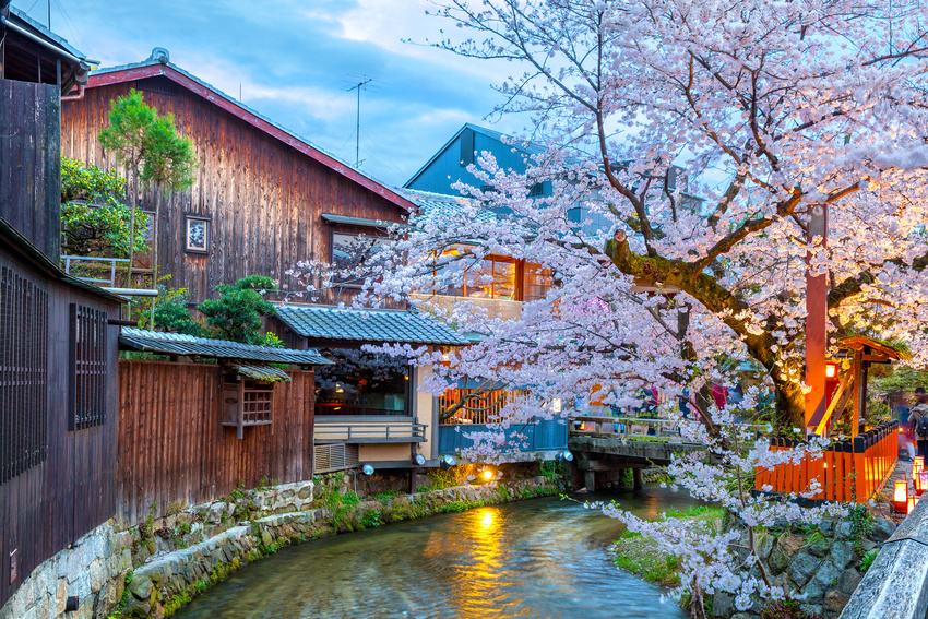 Rivière Shirakawa, quartier de Gion, Kyoto