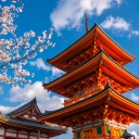 Temple, Kyoto