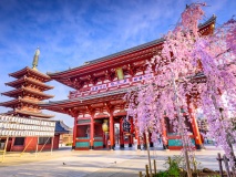 Temple Sensoji à Asakusa, Tokyo