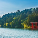 Tori au lac Ashinoko, Hakone, Japon