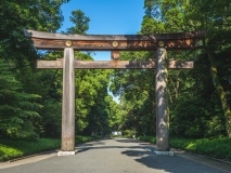 Torii vers le temple Meiji, Tokyo