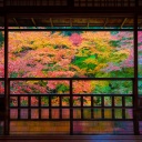 Vue sur l'extérieur depuis un ryokan en automne, Kyoto