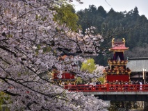 Festival de Takayama