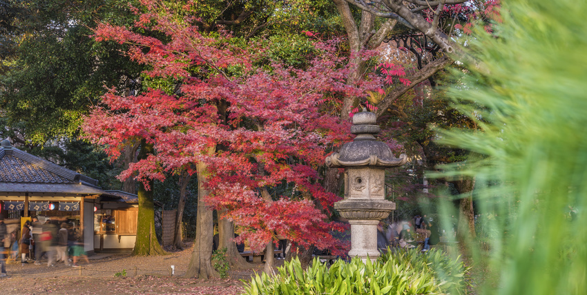 Lanterne en pierre, Jadin Rikugien