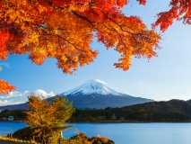 Mont Fuji en automne