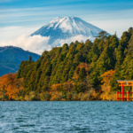 Premiers pas au Japon