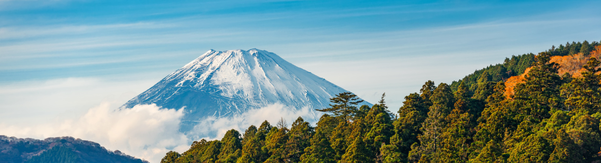 Mt Fuji, Lac Ashinoko et Torii