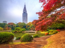 Parc Shinjuku en automne