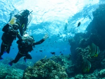 Plongeurs à Okinawa