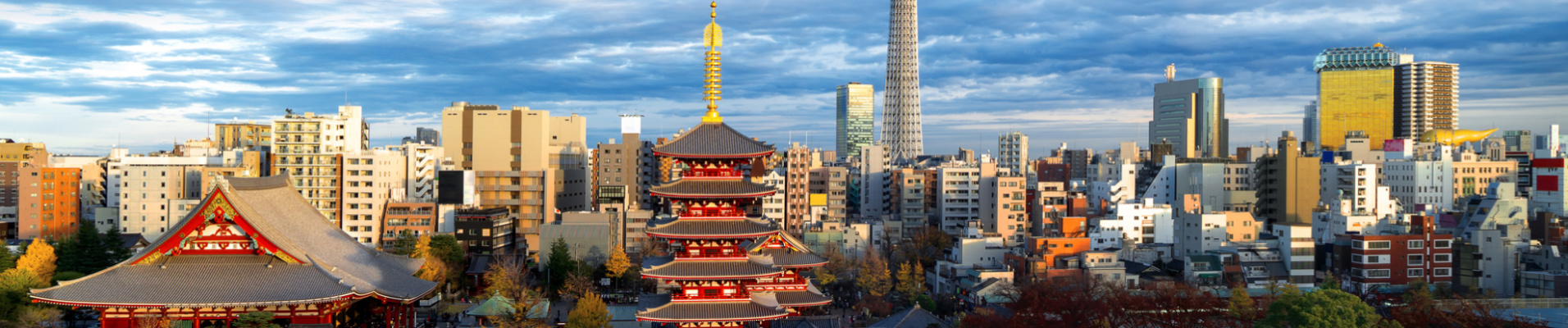 Skyline Tokyo Japon