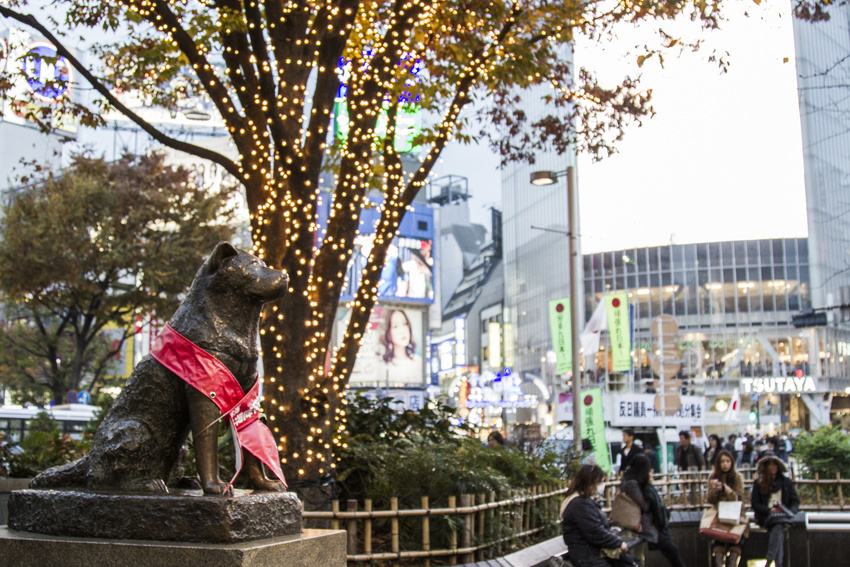 Statue d'Hachiko Statue, Shibuya