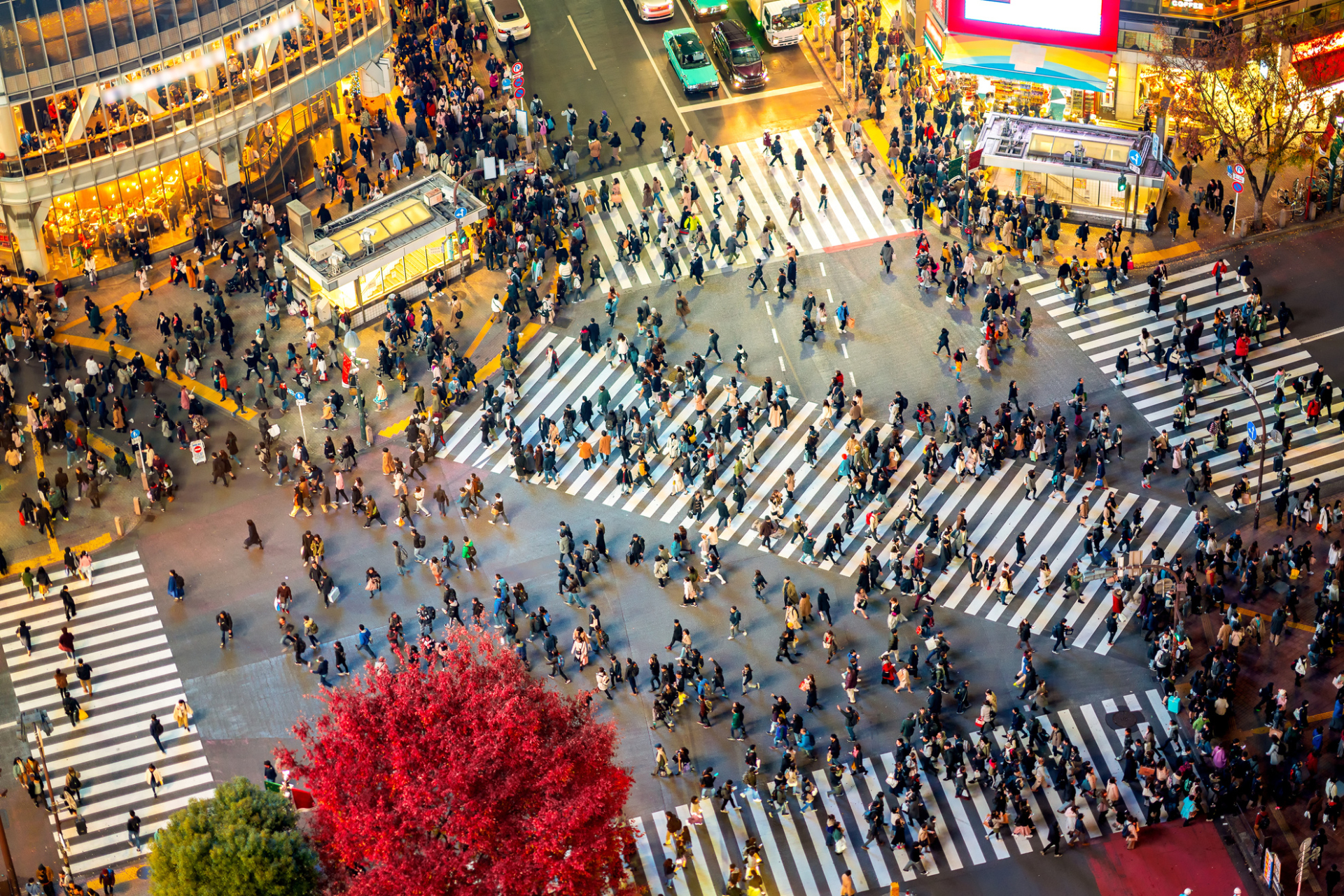 Tokyo, passage piéton de Shibuya