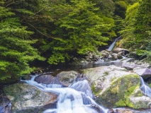 Cascade Yakushima