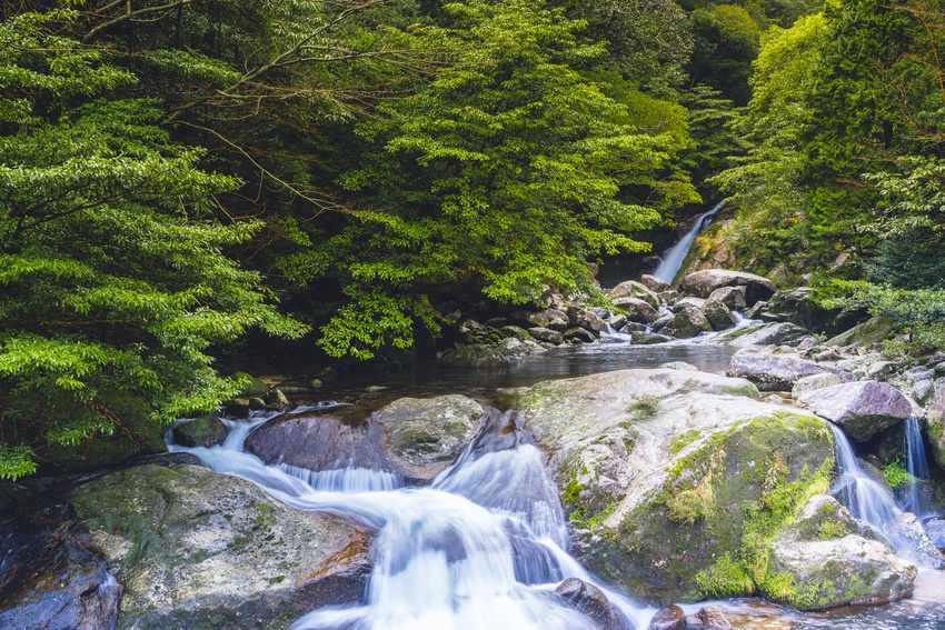 Cascade Yakushima
